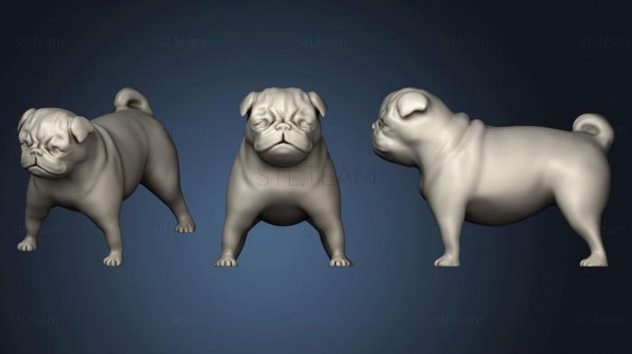3D model Pug (STL)